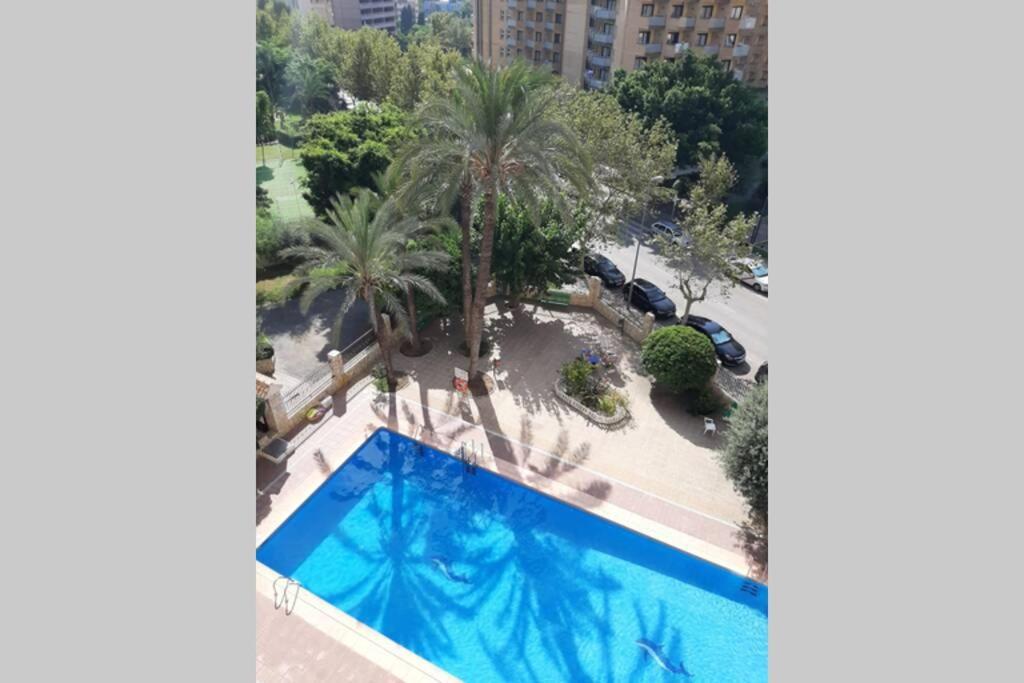 Moby Dick 3A Daire Benidorm Dış mekan fotoğraf
